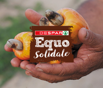 despar equo solidale